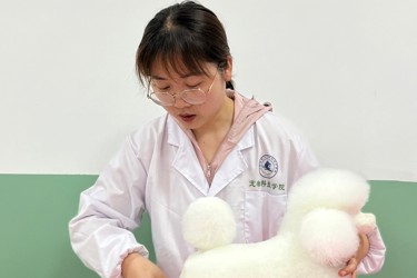 杨敏敏   讲师