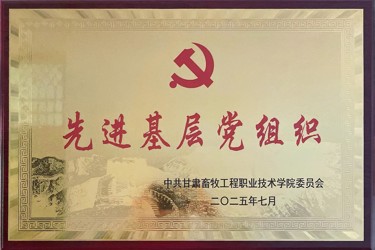 先进基层党组织