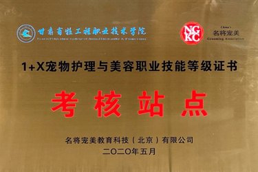 考核站点