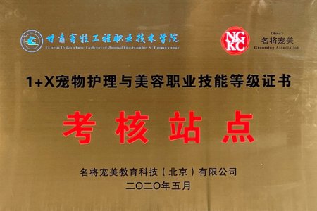 考核站点