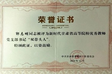 优秀教师党支部书记“双带头人”