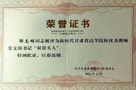 优秀教师党支部书记“双带头人”