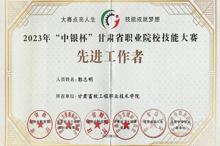 先进工作者