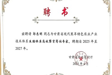 专家聘书