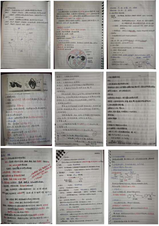 5871bceea8c643388ef9e19f5fd2a77d