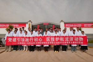 宠物科技学院开展流浪动物保护志愿服务暨主题党日活动
