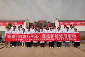 【高校之窗】甘肃畜牧工程职业技术学院宠物科技学院开展流浪动物保护志愿服务暨主题党日活动