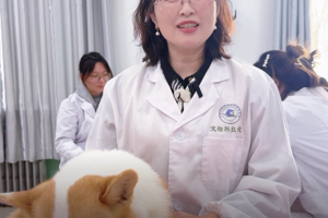 宠爱有“技”   匠心育人~ 宠物科技学院欢迎你的加入！