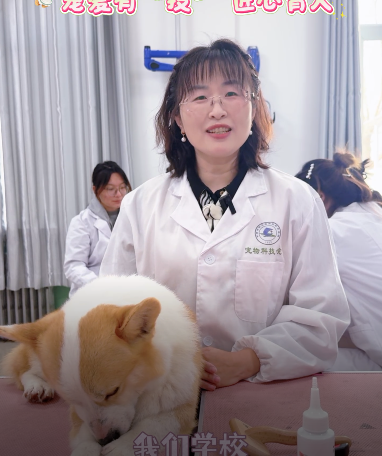 宠爱有“技”   匠心育人~ 宠物科技学院欢迎你的加入！