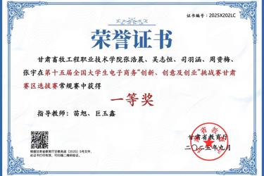 第十五届全国大学生电子商务“三创赛”挑战赛甘肃赛区选拔赛---一等奖