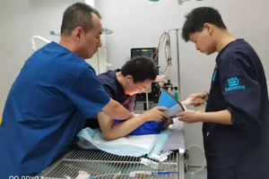 深入企业强技能   产教融合促提升——宠物科技学院组织教师暑期开展企业实践锻炼