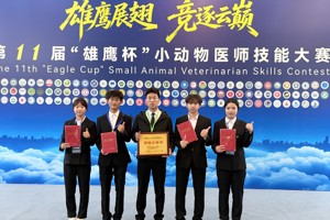 【教育之窗】甘肃畜牧工程职业技术学院学子在第十一届“雄鹰杯”小动物医师技能大赛中荣获二等奖