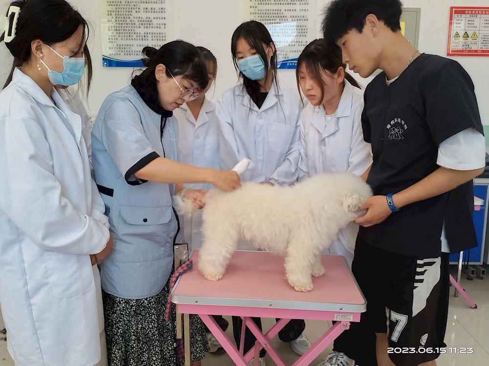 87e2910923bb4e4ebcd716dfc8ebb799.jpg 87e2910923bb4e4ebcd716dfc8ebb799.jpg