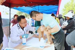 【新武威】甘肃畜牧工程职业技术学院开展第18个“世界狂犬病日”宣传活动