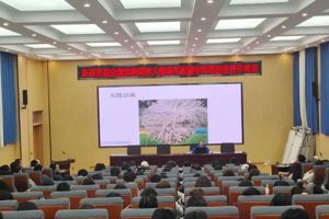 技能：让生活更美好 ‖ 宠物科技学院举办“贵宾犬拉姆装修剪培训”活动