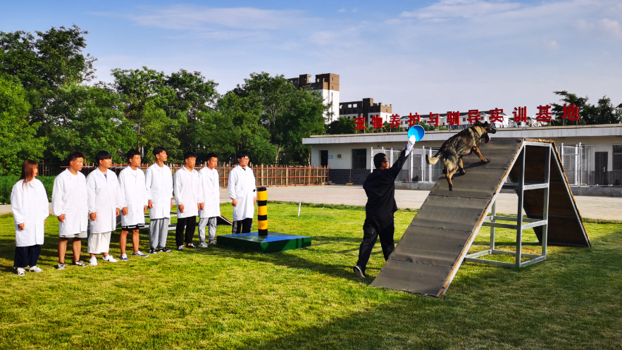 fc86c2cd00714c0ea3bccdd4c16213cb.png fc86c2cd00714c0ea3bccdd4c16213cb.png